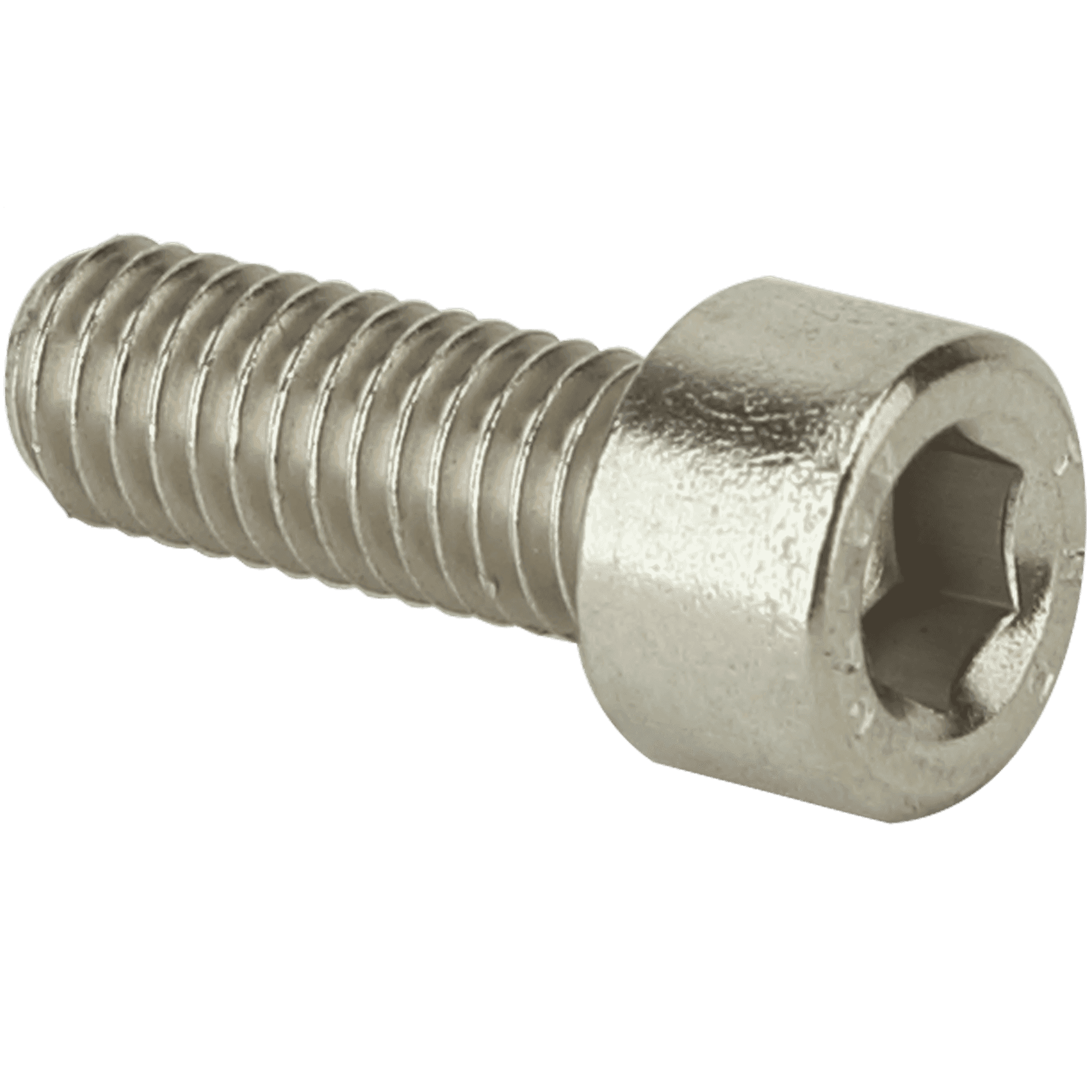 Life Fitness Crank Arm Screw