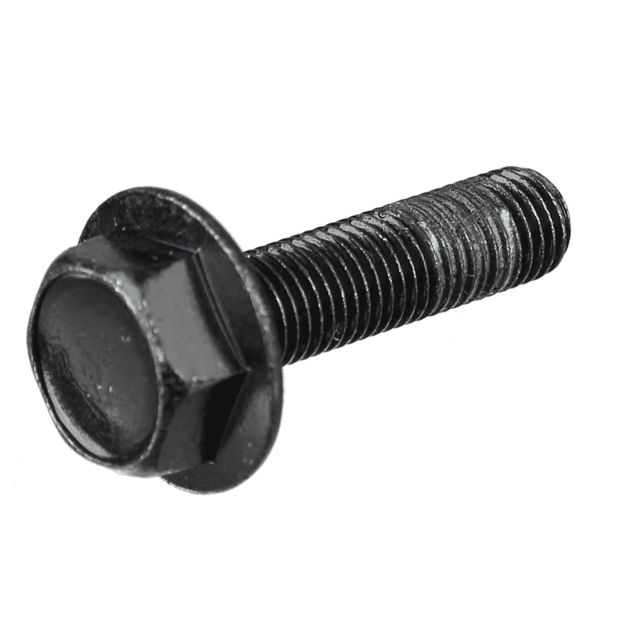Lifefitness Bolt M8 x 1.0-6G6g x 30