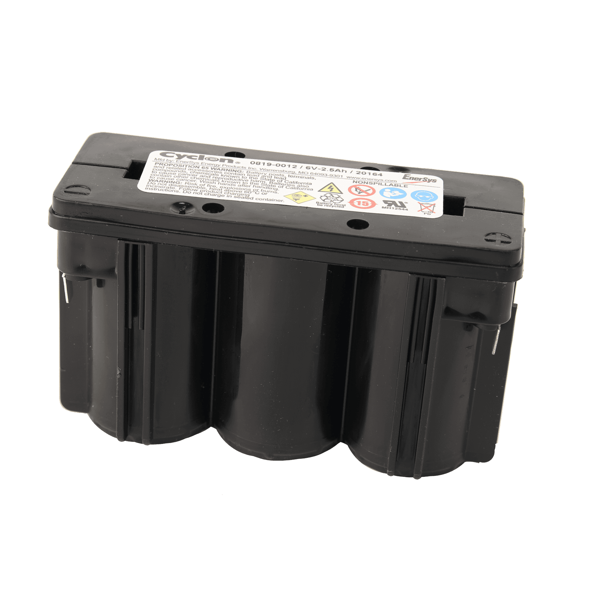 Lifefitness Battery, 6 Volt, 3 Cell