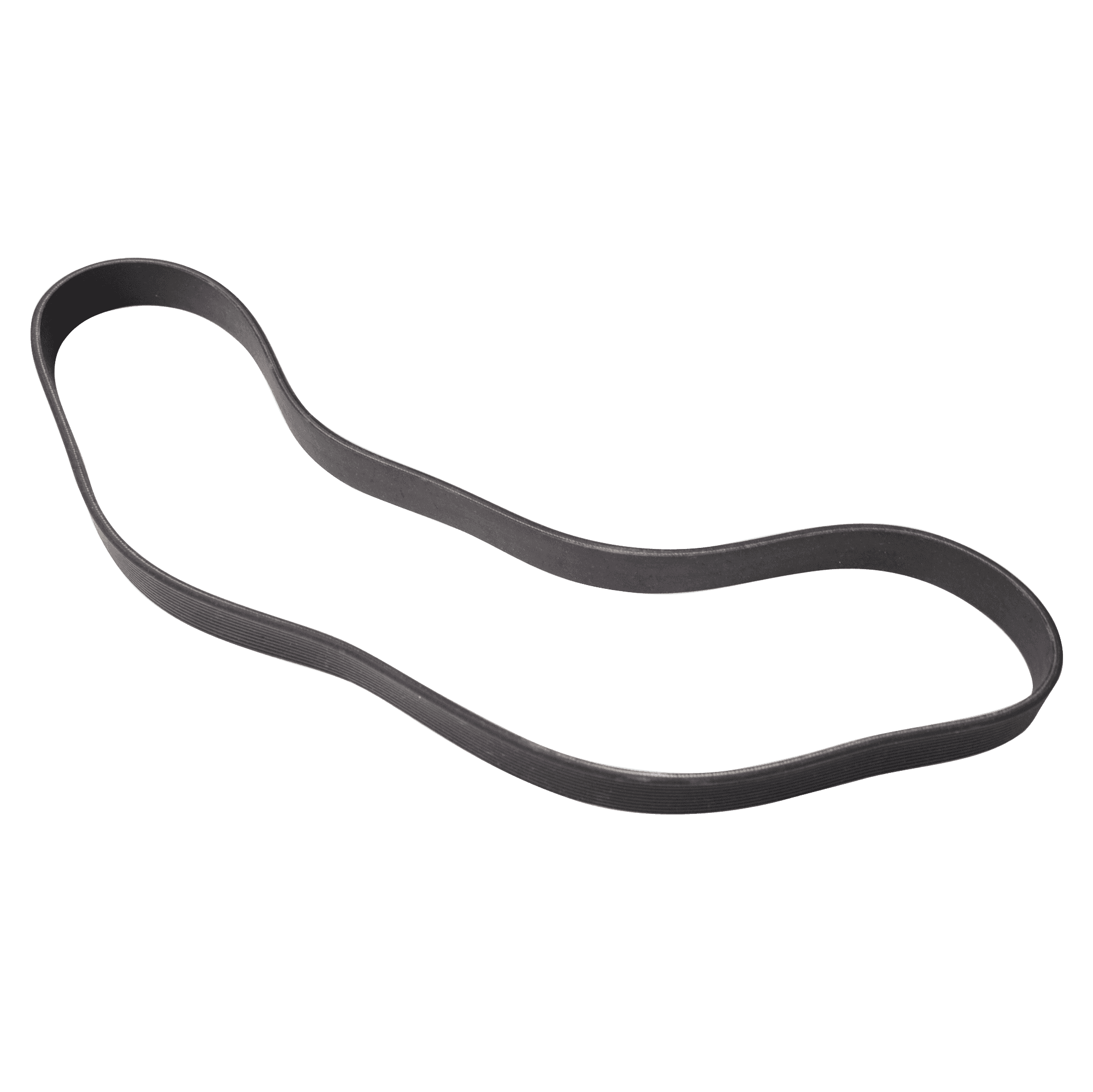 LifeFitness Poly-V Belt Replacement