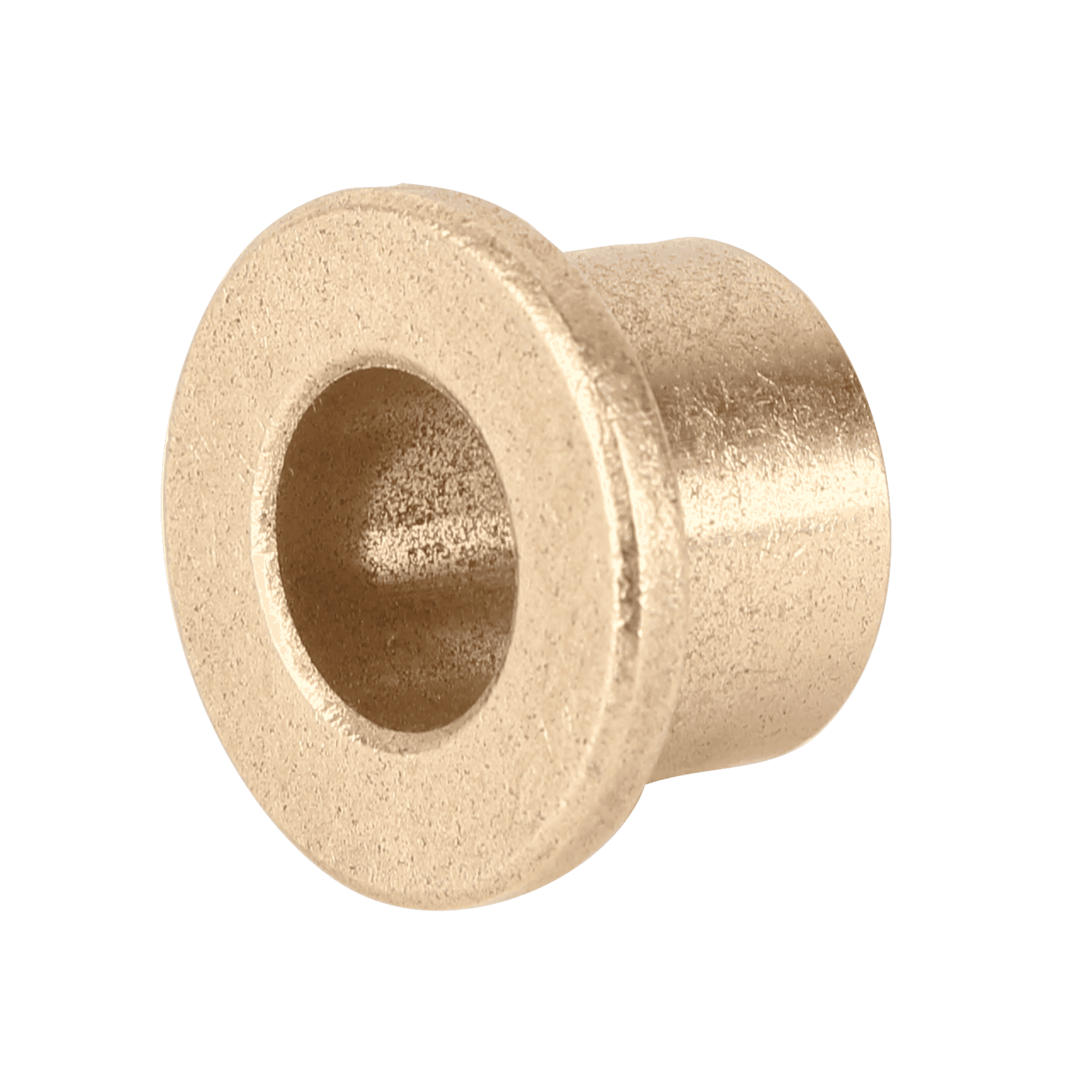 LifeFitness FZTR Torso Rotation Bushing