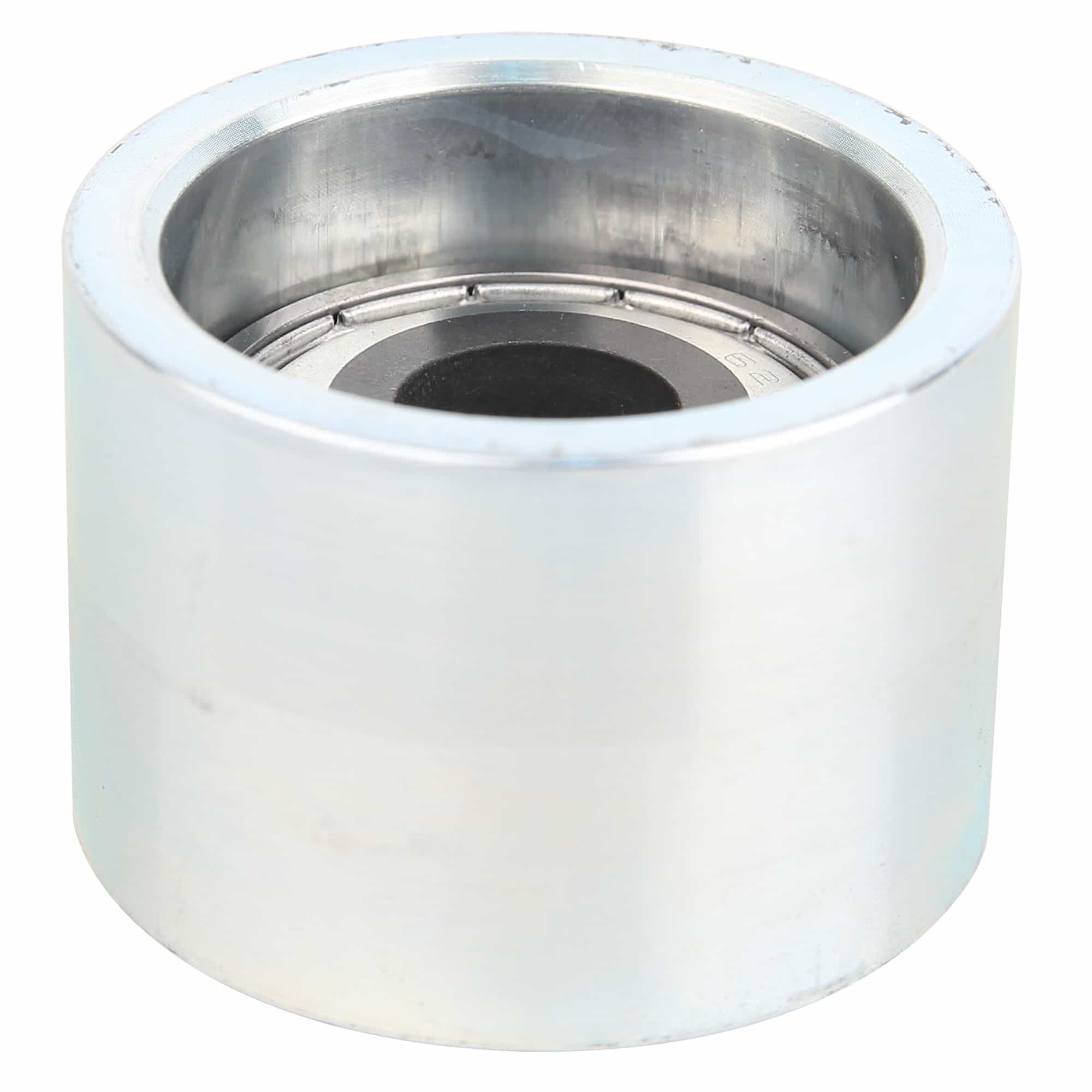 Assy: Roller Bearing