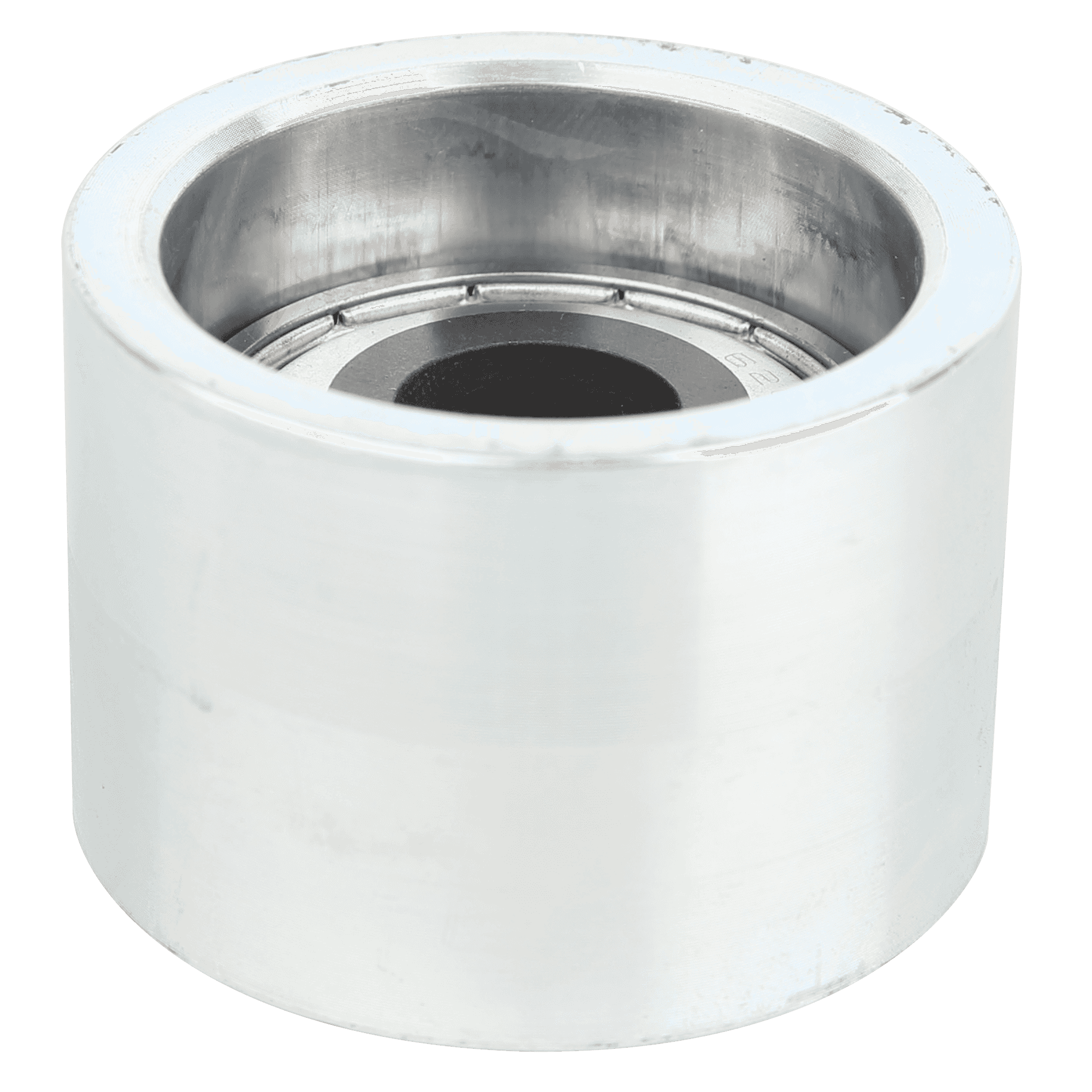 Lifefitness Assy: Roller Bearing