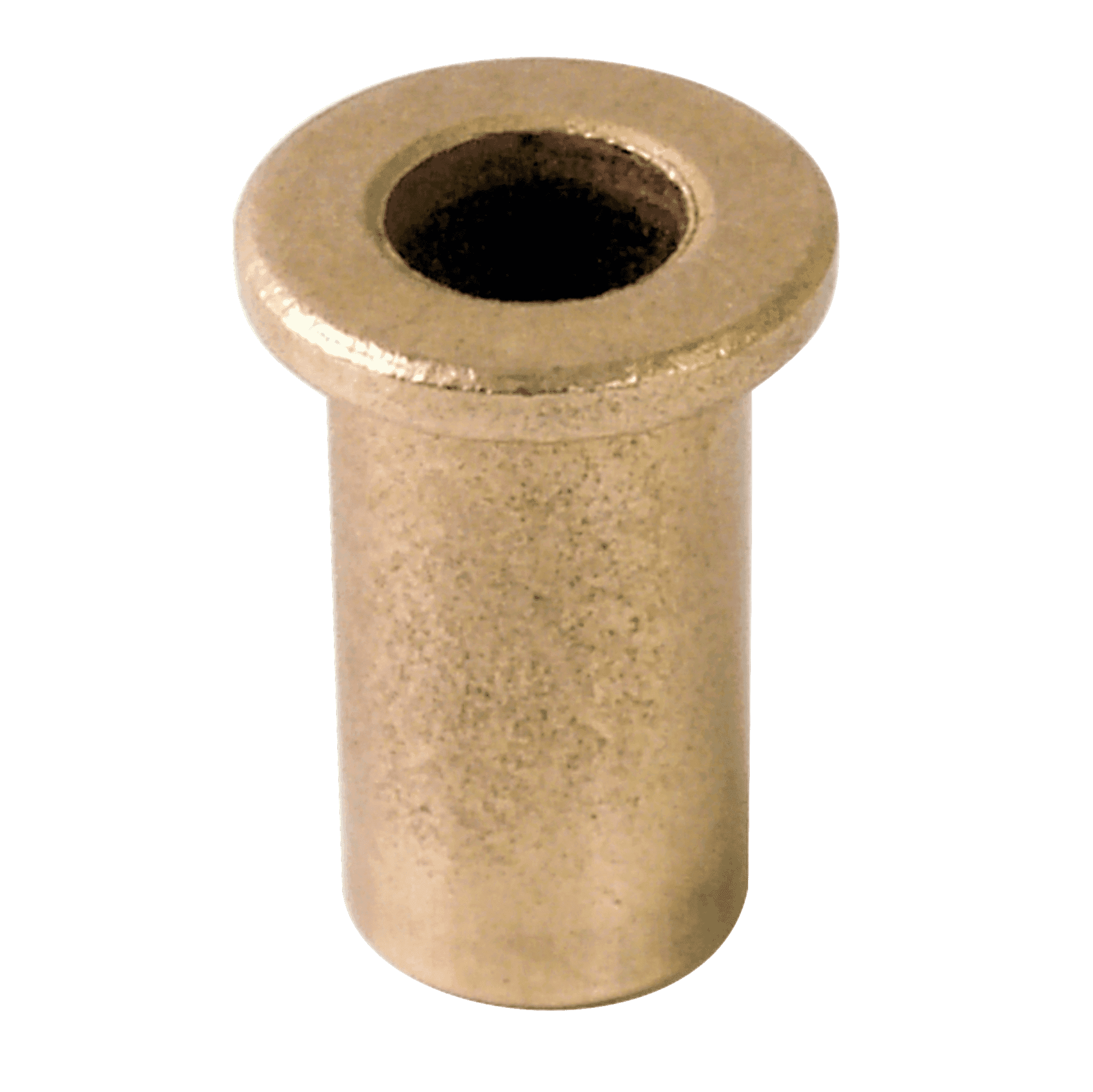 Bushing Level Arm, Bronze (Each)