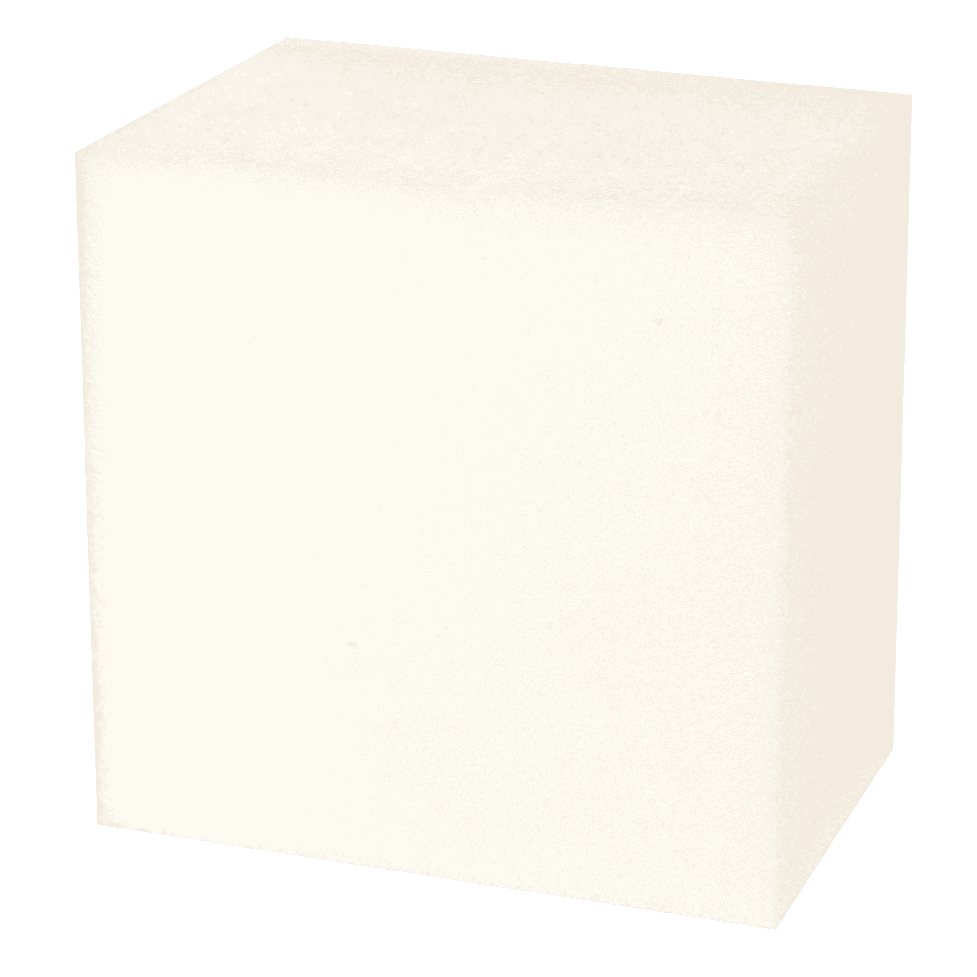 Foam Block Bodyguard/Landice 70103