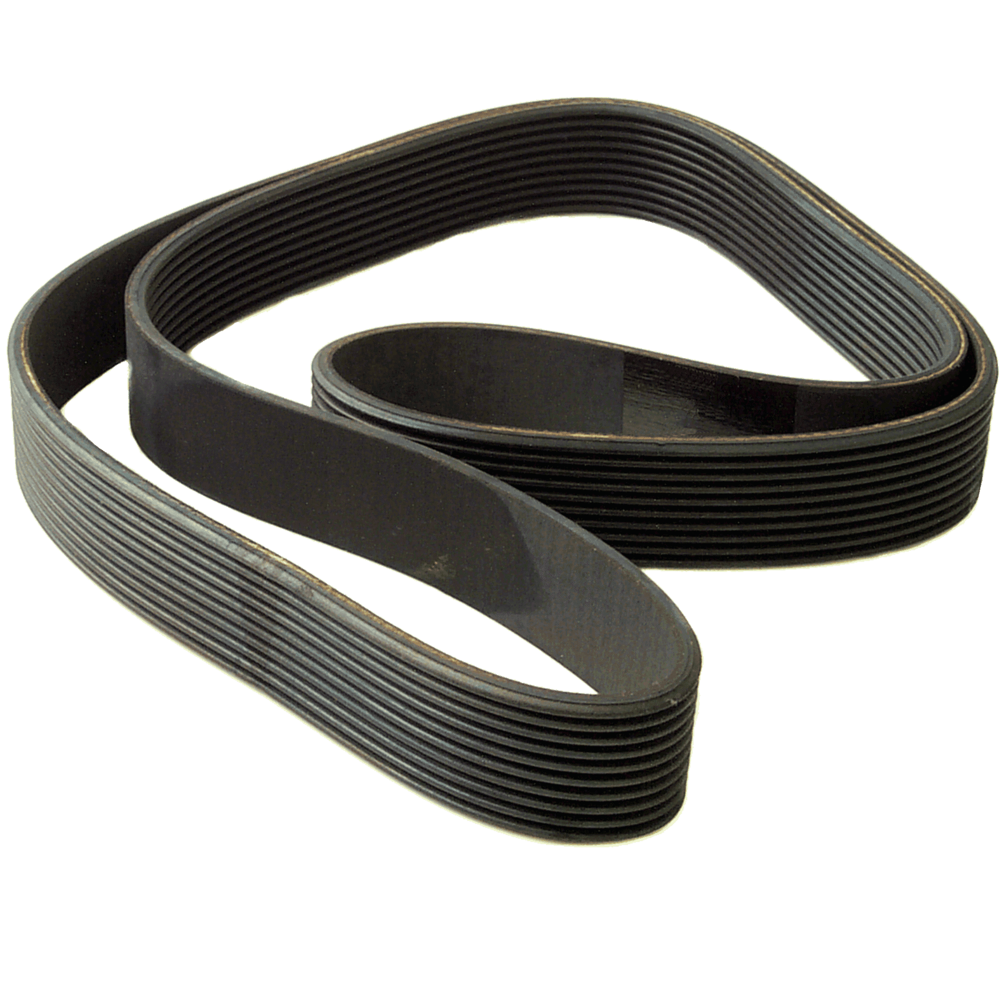 Precor Poly-V Drive Belt