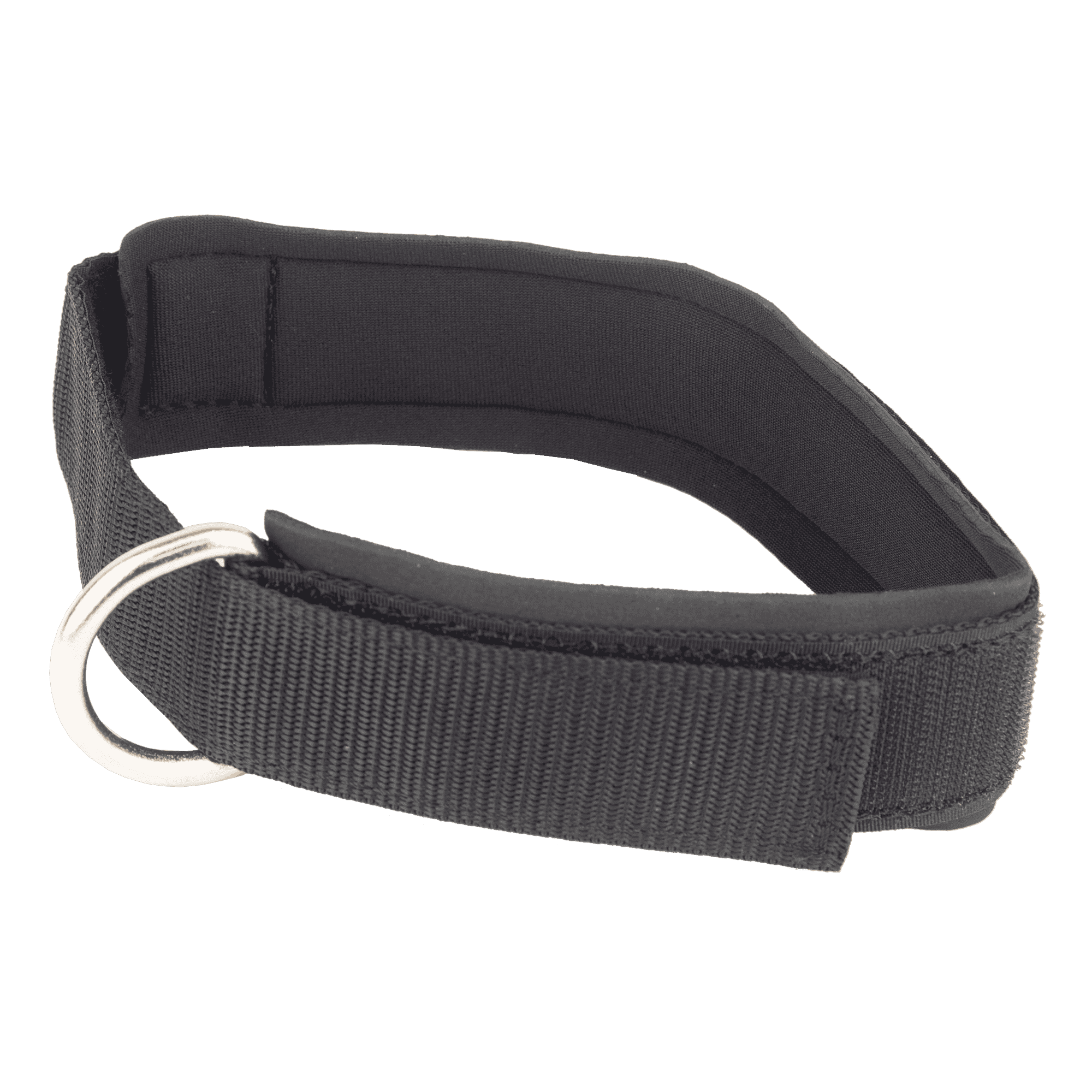 Precor Ankle/Thigh Strap for FTS Glide