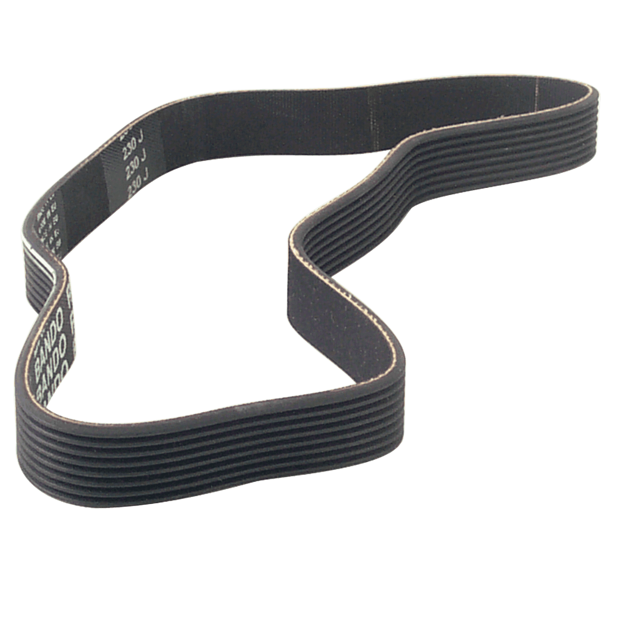 8 Rib Drive Belt for Leeson Motor, Cybex/Trotter