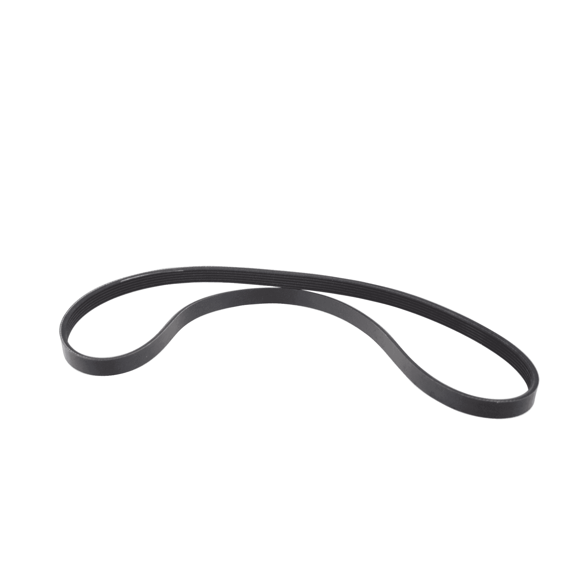 Cybex Secondary Drive Belt