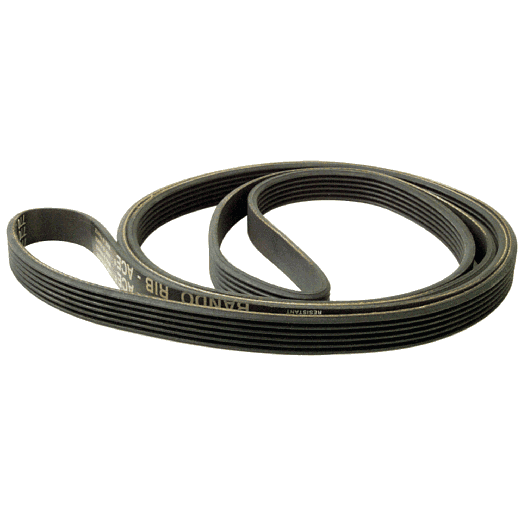 Secondary Drive Belt for Bikemax Recumbent Bikes