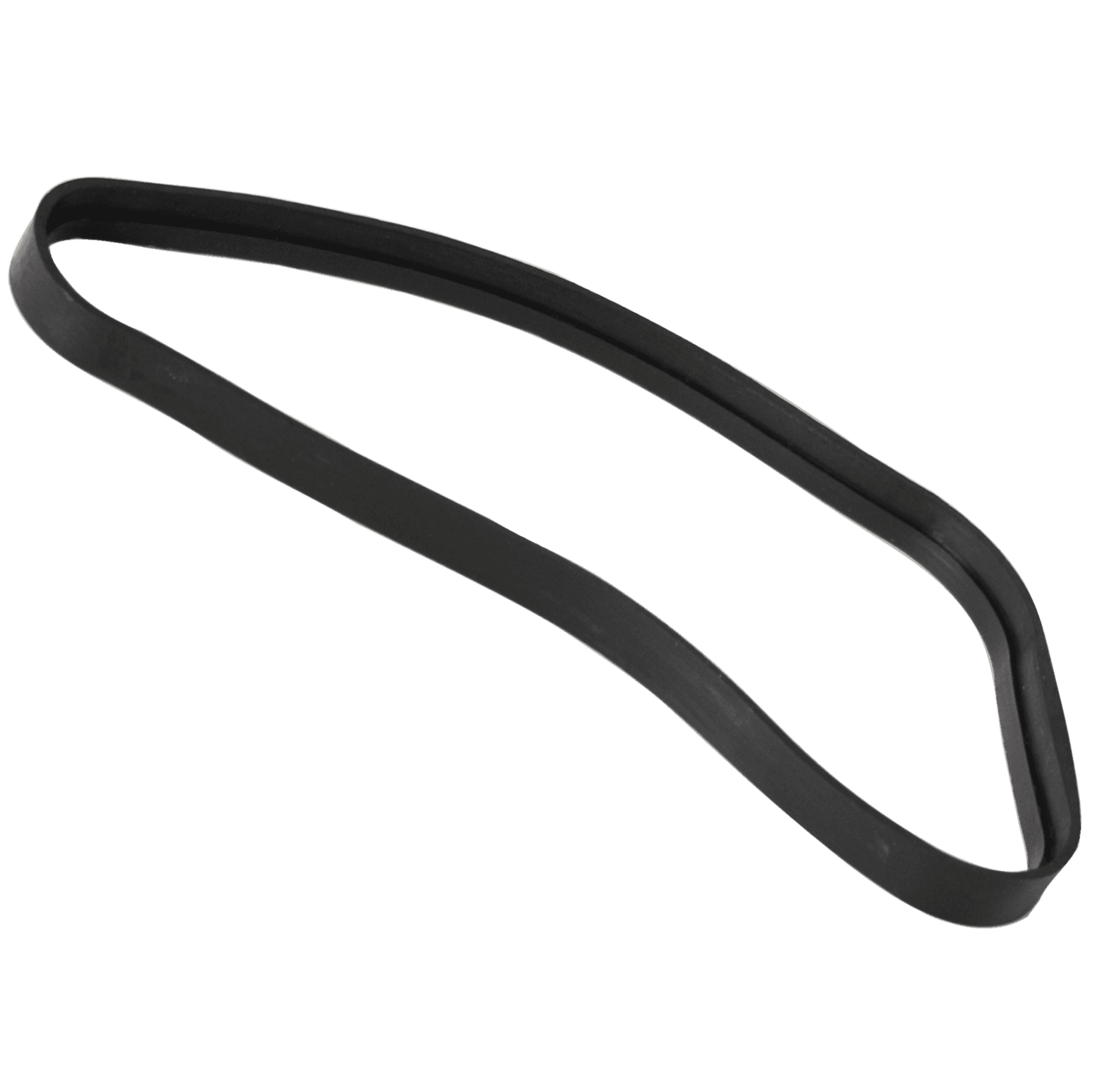 Schwinn Rubber Ring, Ic Evo