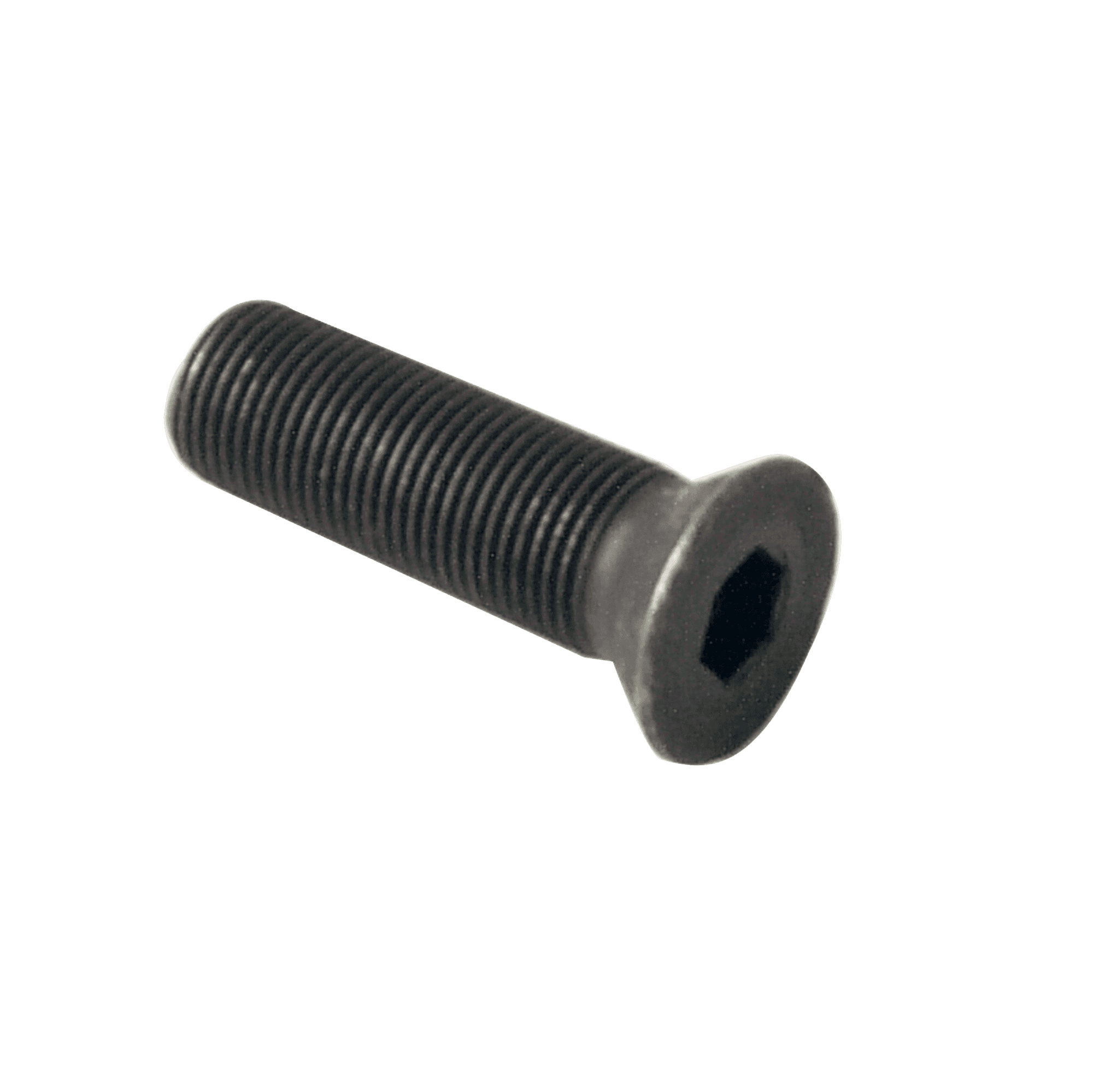 Replacement Bolt for Dumbbell Handles