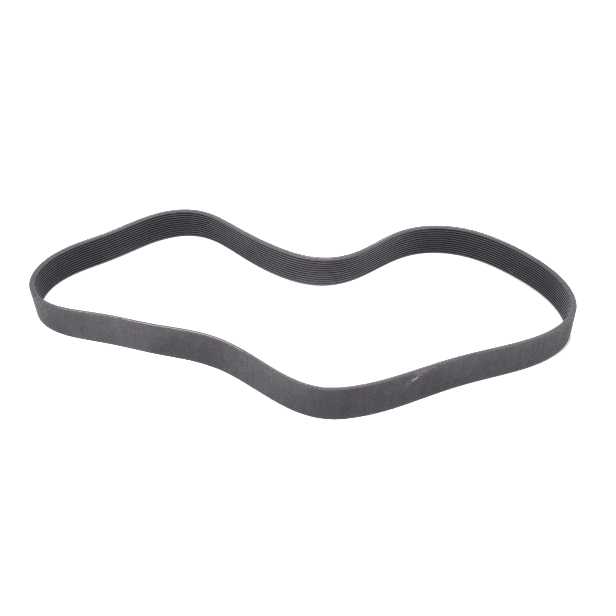 Poly V Belt - Primary Drive