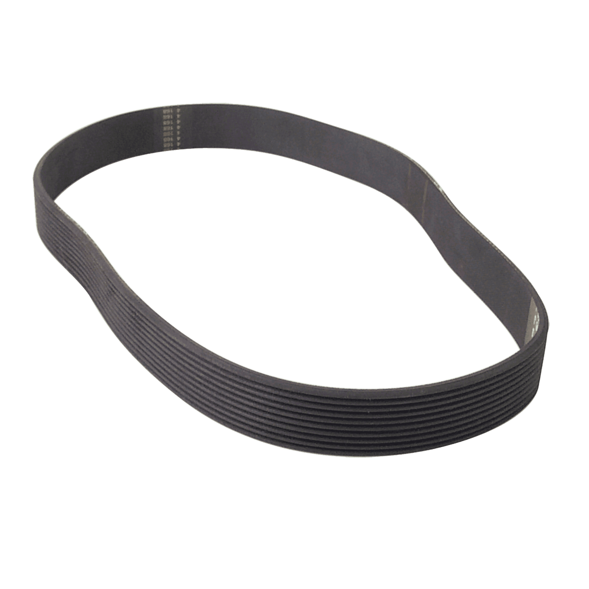 Nautilus Drive Belt for T912, T914 & T916