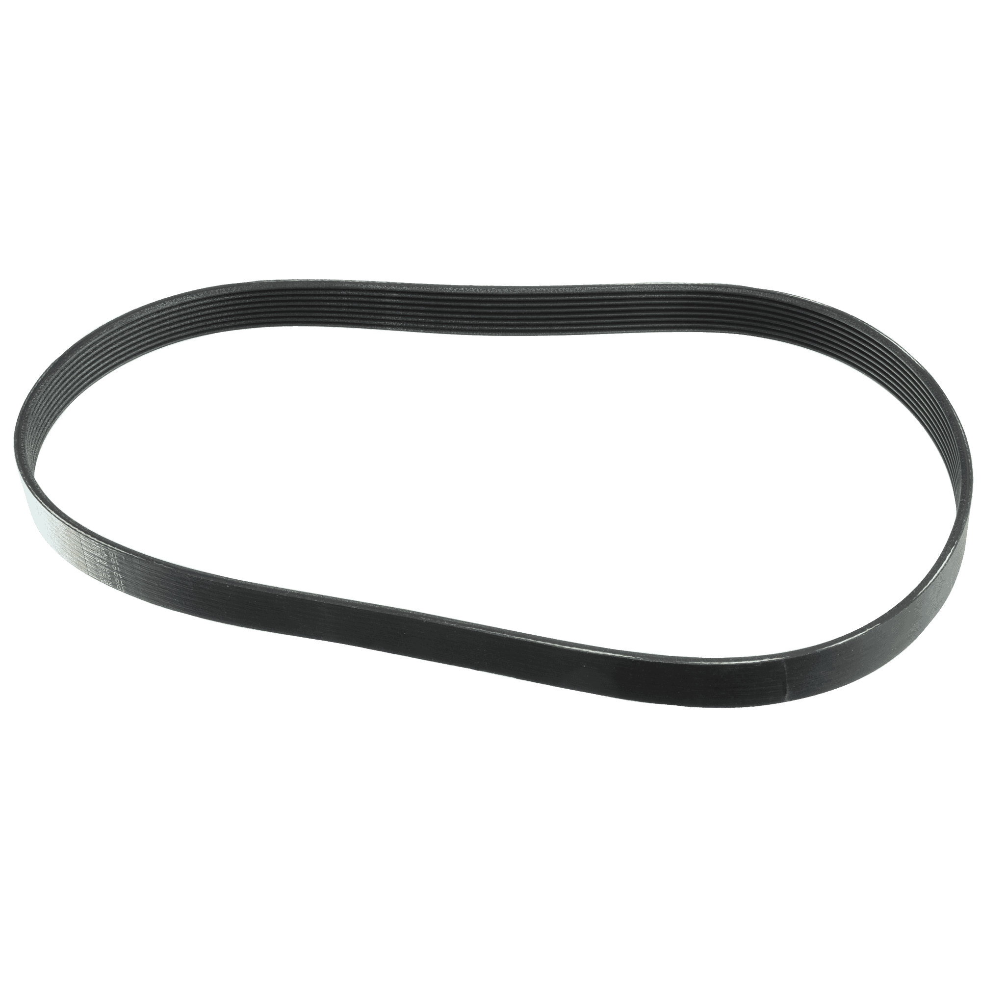 Belt, Poly-V, Expresso Bikes