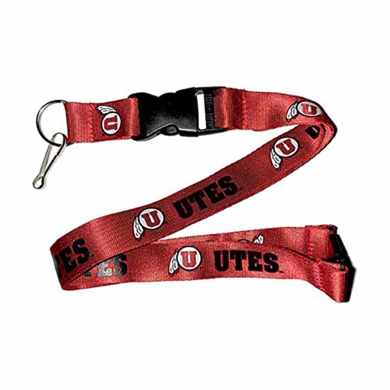 Wristlet Lanyard Keychain