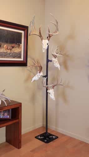 Skull Hooker Trophy Tree W\/ 5 Brackets Customizable Display