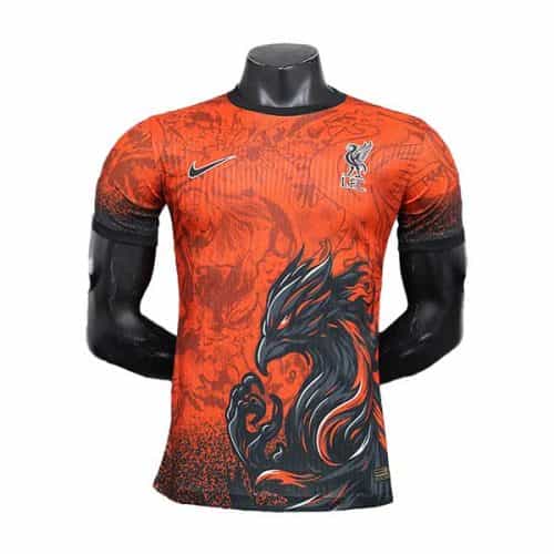 2024-2025 Liverpool Speical Player Version Soccer Jersey