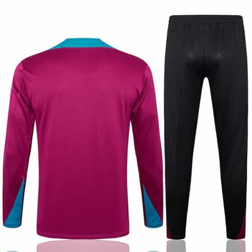 2024-2025 Psg Training Suit Purple